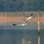 Puchata - Mazury Pozezdrze