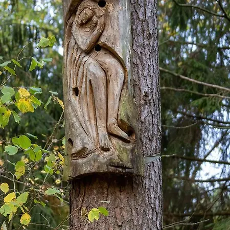 Puchata - Mazury * Pozezdrze