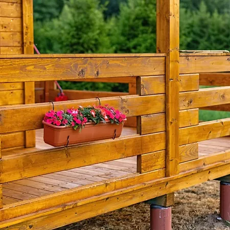 Puchata - Mazury *